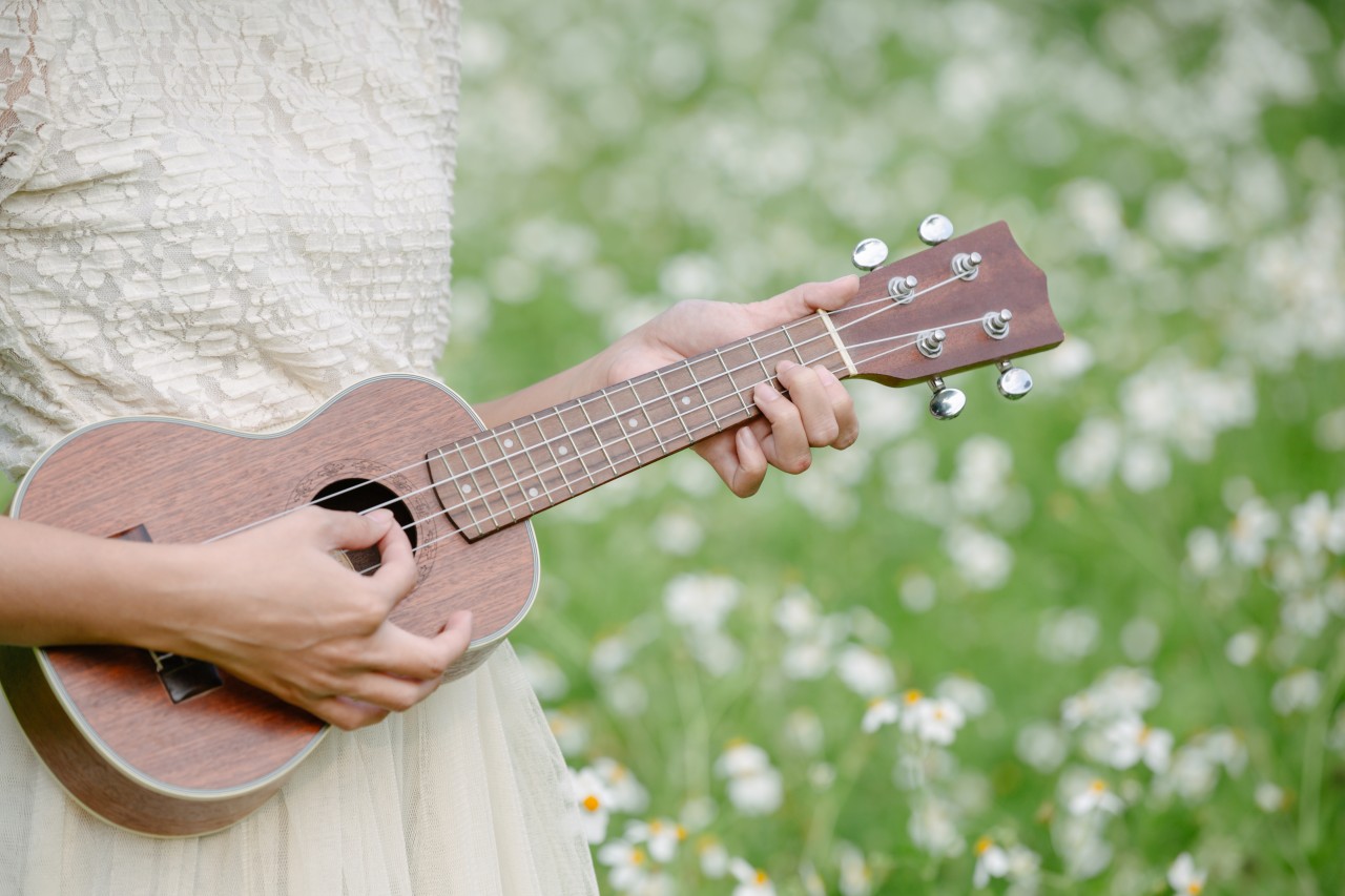 Neigungsgruppen, Ukulele (Symbolbild)